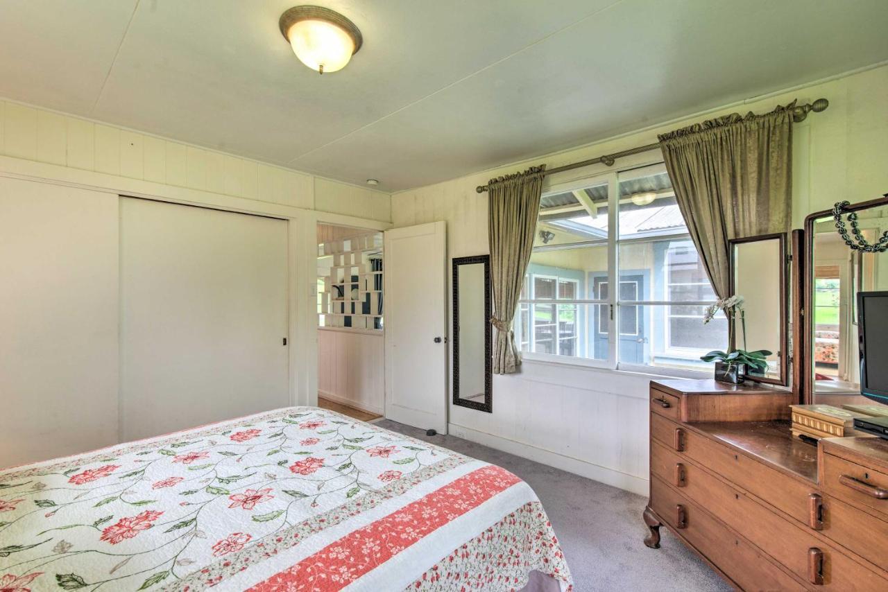 Hilo Home Base - 3 Miles To State Park And Beach! Екстер'єр фото